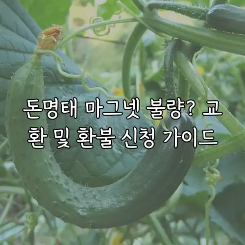 돈명태 마그넷 불량? 교환 및 환불 신청 가이드