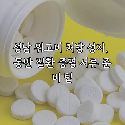성남 위고비 처방 성지, 동반 질환 증명 서류 준비 팁