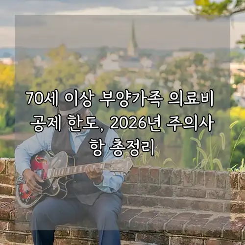 70세 이상 부양가족 의료비 공제 한도, 2026년 주의사항 총정리