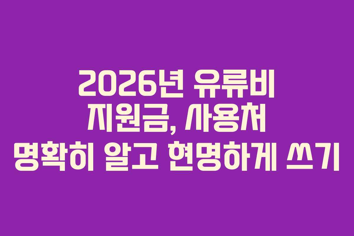 2026년 유류비 지원금, 사용처 명확히 알고 현명하게 쓰기