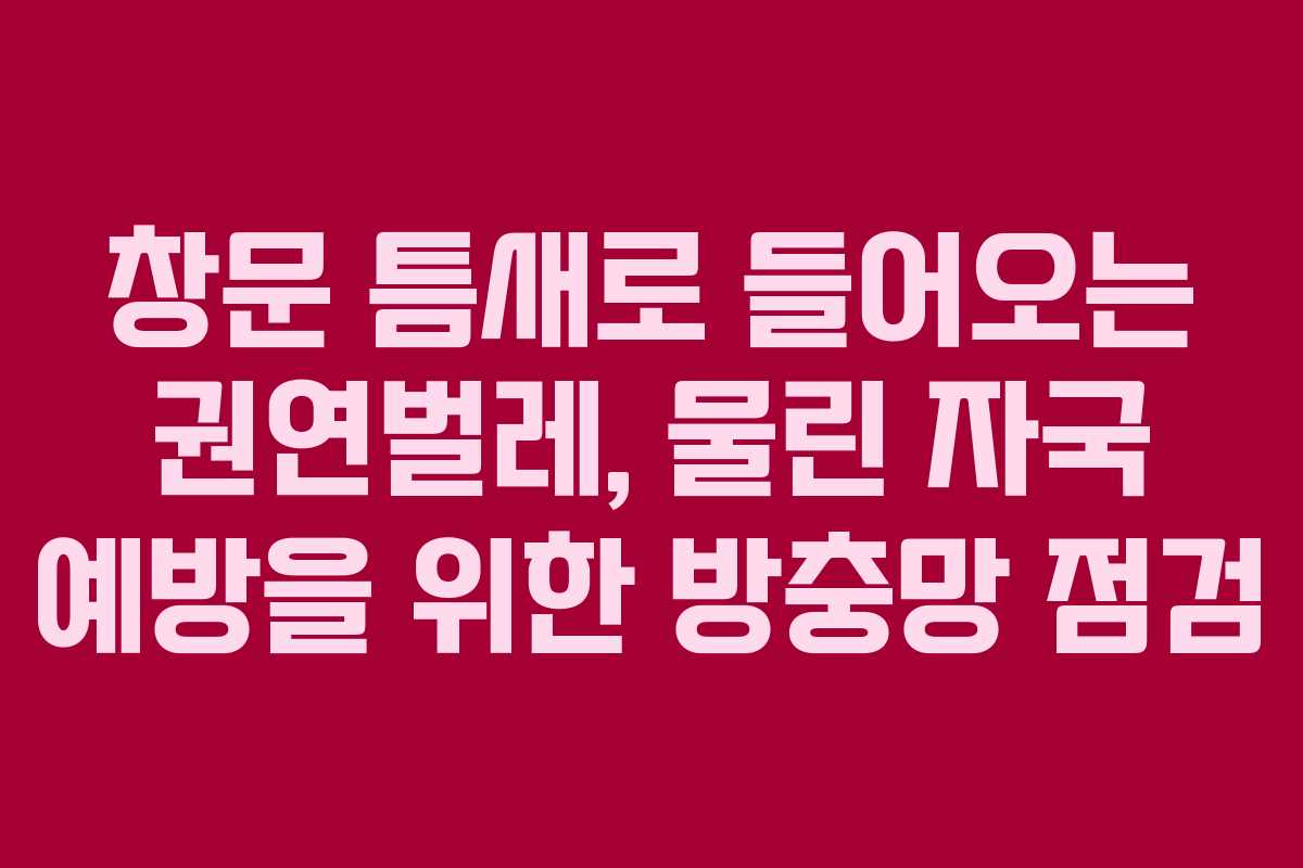 창문-틈새로-들어오는-권연벌레,-물린-자국-예방을-위한-방충망-점검