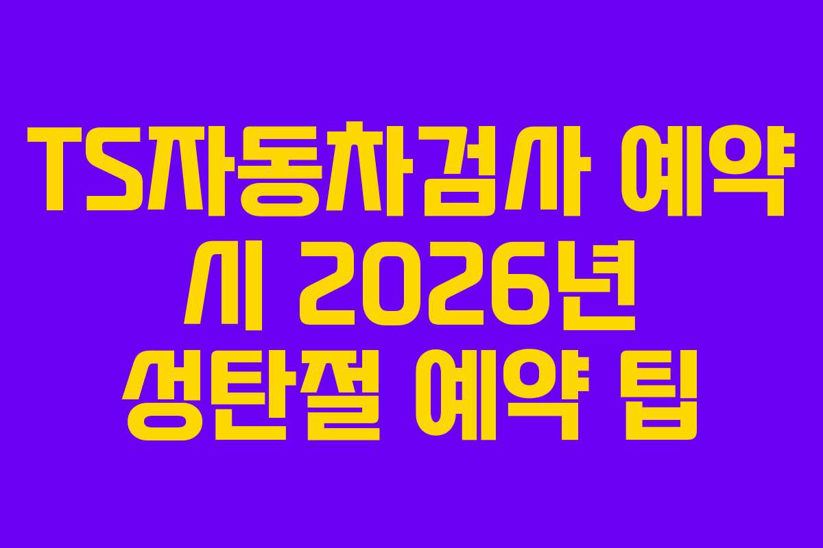 TS자동차검사-예약-시-2026년-성탄절-예약-팁