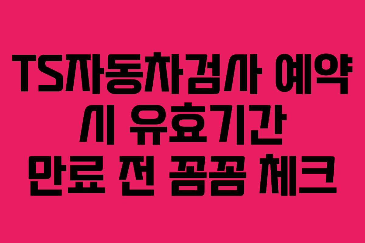 TS자동차검사-예약-시-유효기간-만료-전-꼼꼼-체크