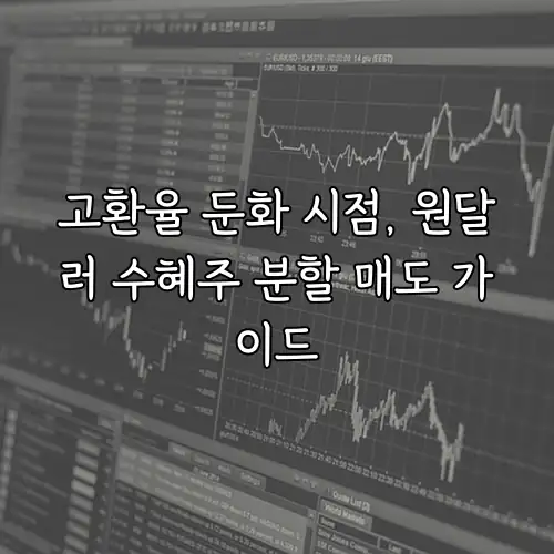 고환율 둔화 시점, 원달러 수혜주 분할 매도 가이드
