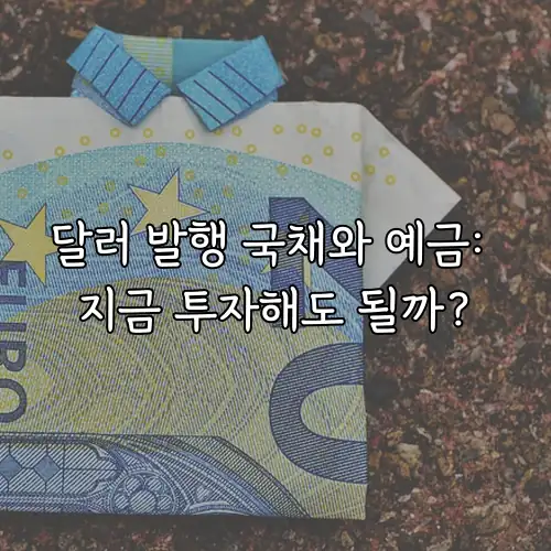 달러 발행 국채와 예금: 지금 투자해도 될까?