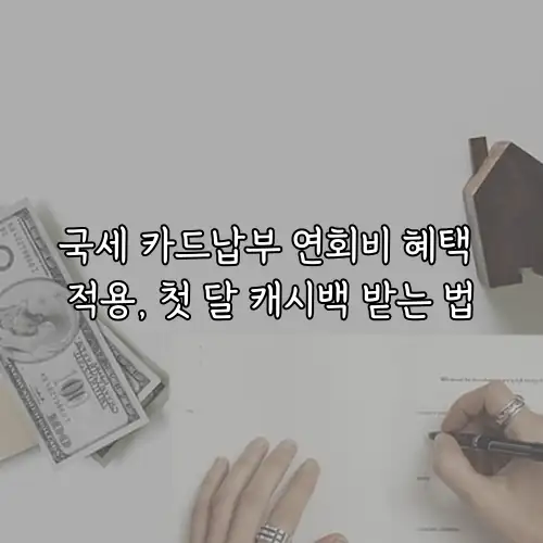 국세 카드납부 연회비 혜택 적용, 첫 달 캐시백 받는 법