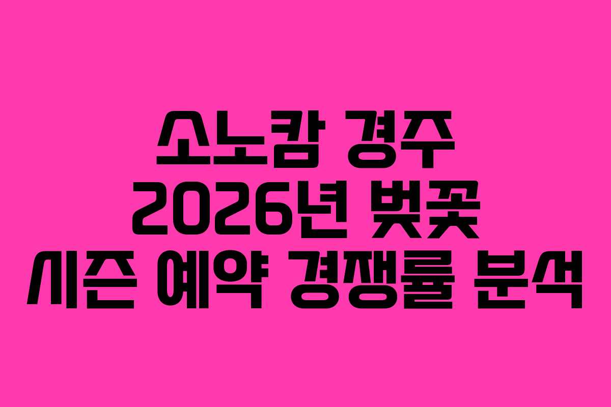 소노캄-경주-2026년-벚꽃-시즌-예약-경쟁률-분석