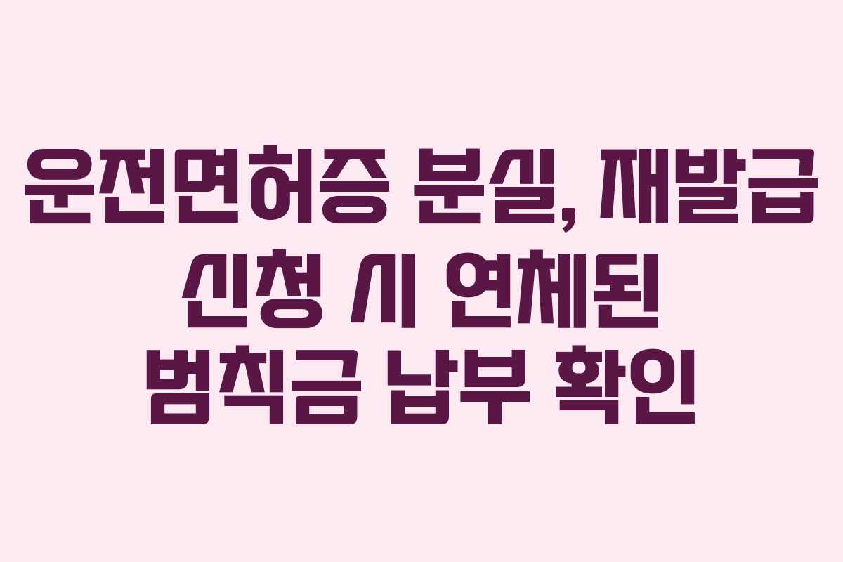 운전면허증-분실,-재발급-신청-시-연체된-범칙금-납부-확인